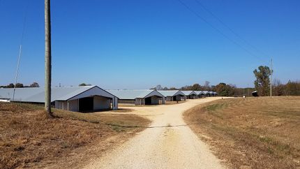 Property in Marion County, Alabama