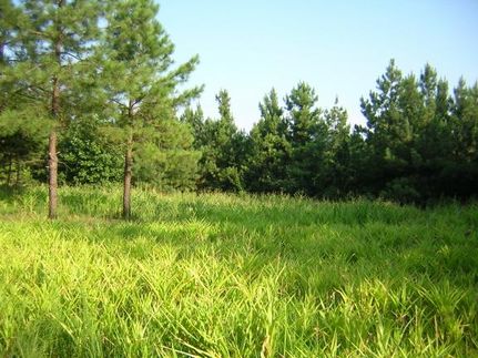 Property in Henry County, Virginia
