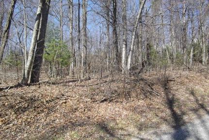 Farm Property in Floyd County, Virginia