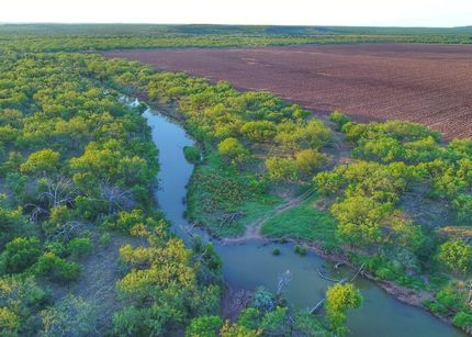 Ranch Property in Baylor County, Texas