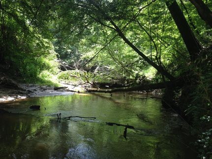Ranch Property in Simpson County, Mississippi