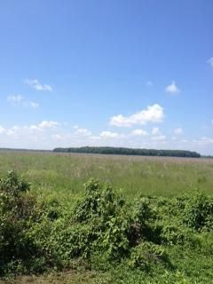 Ranch Property in Issaquena County, Mississippi