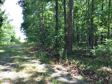 Residential Property in Grundy County, Tennessee