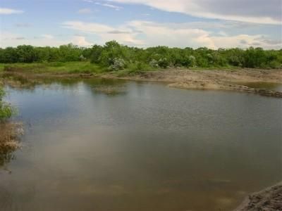 Farm Property in McMullen County, Texas