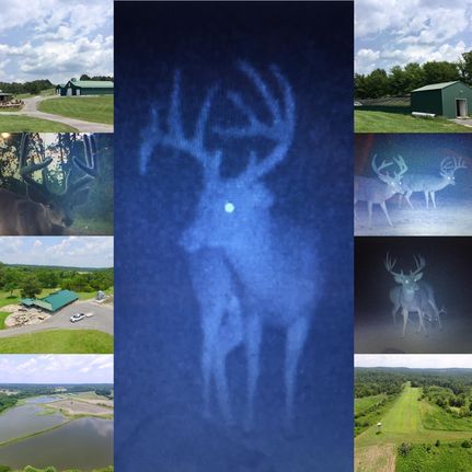 Property in Livingston County, Kentucky