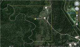 Farm Property in Grimes County, Texas