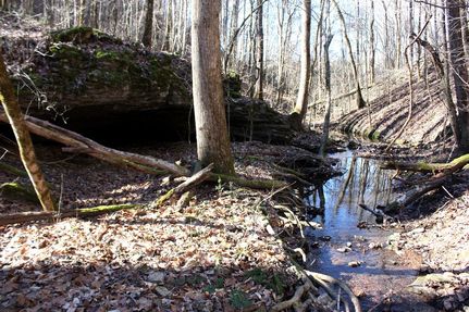 Farm Property in Lawrence County, Tennessee