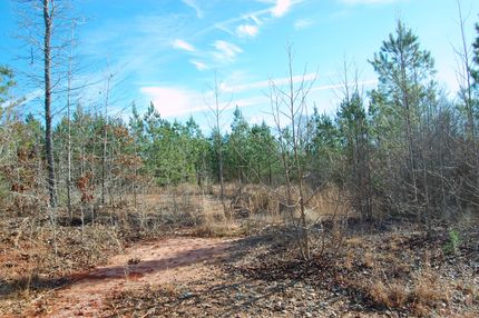 Farm Property in Montgomery County, North Carolina