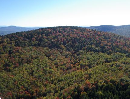 Farm Property in Grafton County, New Hampshire