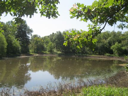 Farm Property in Cedar County, Missouri
