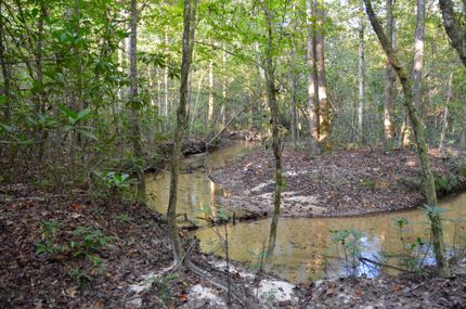 Farm Property in Gadsden County, Florida
