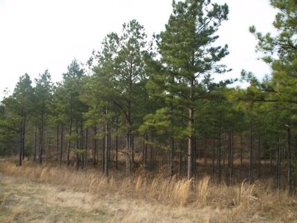 Ranch Property in Howard County, Arkansas
