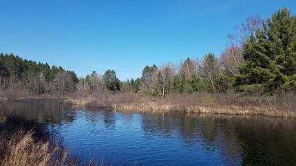 Riverfront Property in Oneida County, Wisconsin