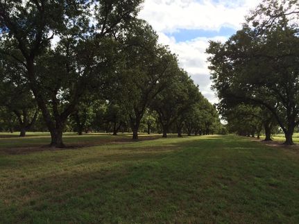 Property in Comanche County, Texas