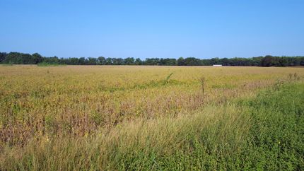 Property in Tunica County, Mississippi