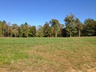 Farm Property in Warren County, Tennessee