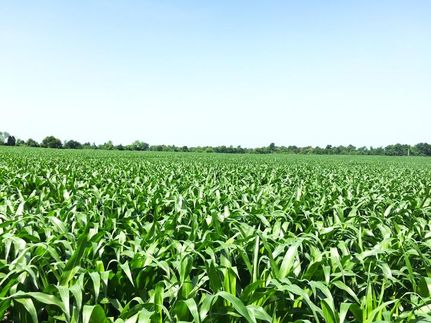 Ranch Property in Hardin County, Kentucky