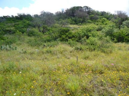 Ranch Property in Uvalde County, Texas