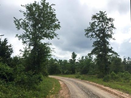 Undeveloped Land in San Jacinto County, Texas