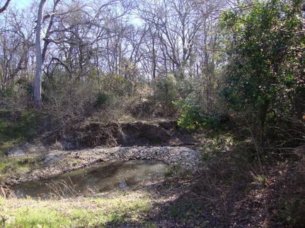 Undeveloped Land in Falls County, Texas