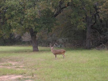 Farm Property in San Saba County, Texas