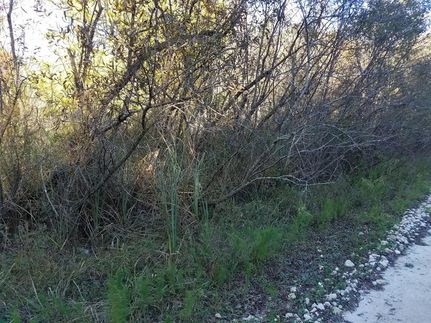 Waterfront Property in Hernando County, Florida