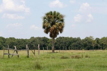 Undeveloped Land in Hillsborough County, Florida