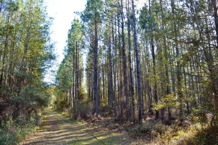Property in Clay County, Florida