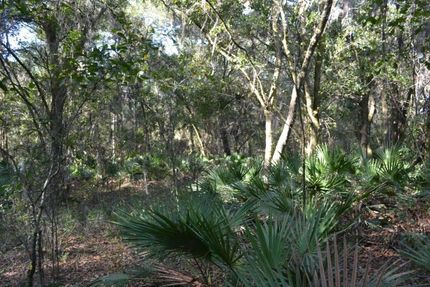 Property in Citrus County, Florida