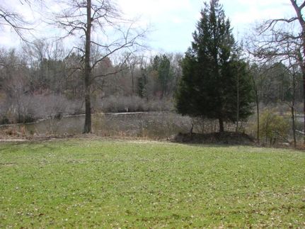 Farm Property in Schley County, Georgia