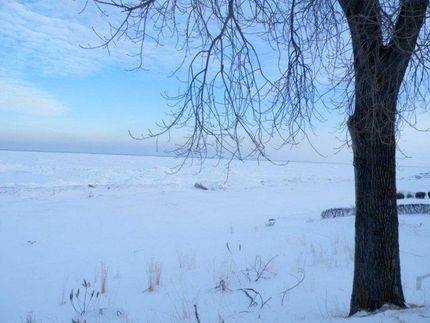 Farm Property in Saint Clair County, Michigan