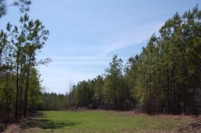 Property in Cherokee County, Alabama