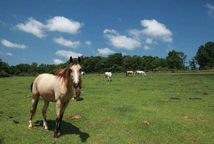 Property in Jefferson County, Alabama