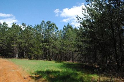 Property in Tuscaloosa County, Alabama