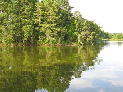 Property in Etowah County, Alabama