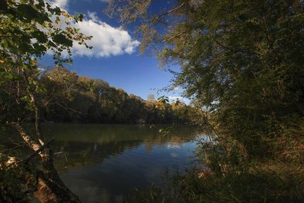 Property in Tallapoosa County, Alabama