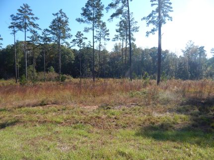 Property in Chambers County, Alabama