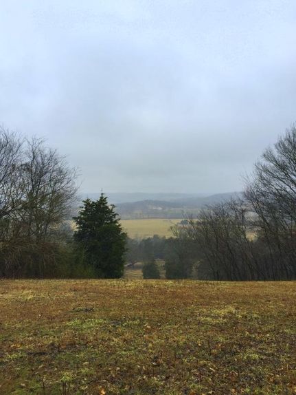 Farm Property in Maury County, Tennessee