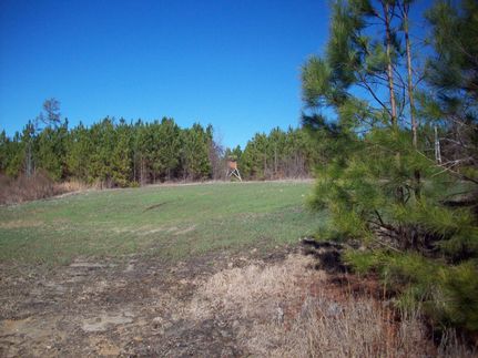 Property in Fairfield County, South Carolina