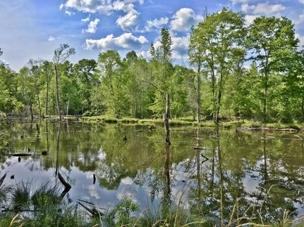 Recreational Property in Wilcox County, Alabama