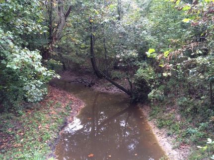 Ranch Property in Montgomery County, Alabama