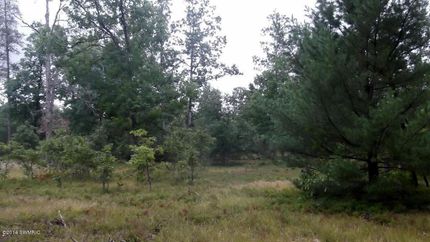 Property in Lake County, Michigan