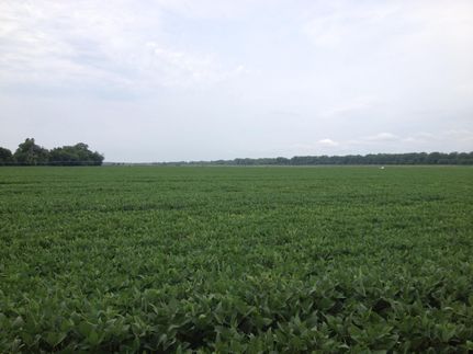 Farm Property in Cass County, Illinois