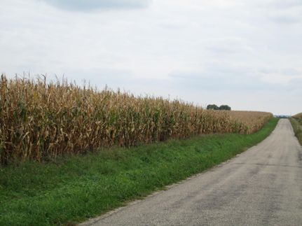 Ranch Property in Stark County, Illinois