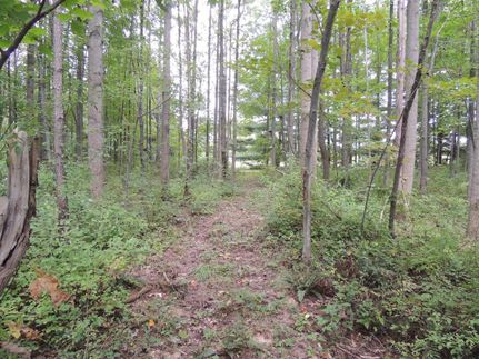 Farm Property in Guernsey County, Ohio