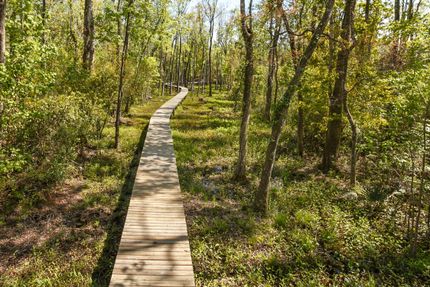 Waterfront Property in Clay County, Florida