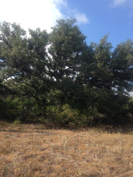Farm Property in Goliad County, Texas