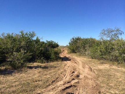 Farm Property in Brooks County, Texas