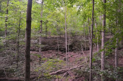 Timberland Property in Athens County, Ohio
