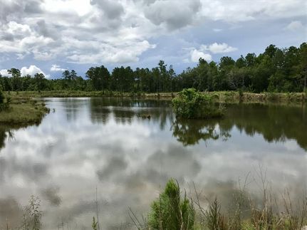 Lakefront Property in Baldwin County, Alabama
